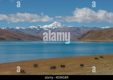 Yamdrok See und noijin kangsang Peak, shannan, Tibet, China Stockfoto