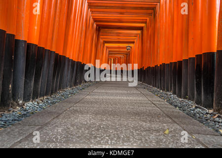 Die vielen Hunderte von torii Gates in der spektakulären fushimi Inari Schrein Stockfoto