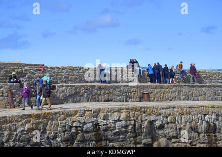 St. Michael's Mount, Cornwall, Großbritannien - John Gollop Stockfoto