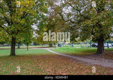 Ein Blick auf den Prospect Park in der Lesung in der Berkshire im Herbst. Stockfoto