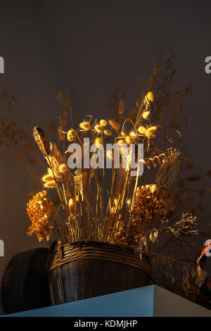 Ein geflochtener Korb mit getrocknete Gräser schmückt eine Regal. Stockfoto