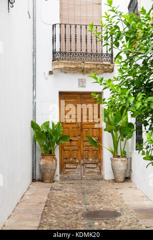 Gasse Calle de las Flores, Cordoba, Andalusien, Spanien Stockfoto