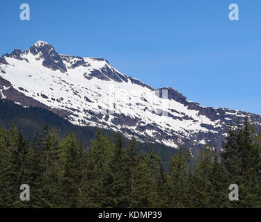 Schneebedeckte Berge ragen über Pinien in Alaska aus dem takshanuk Mountain Trail in Haines, Alaska Stockfoto