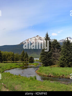 Schöne Landschaft des Mendenhall Valley in Juneau, Alaska Stockfoto