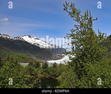 Mendenhall Gletscher durch das üppige Grün am Wandern gesehen Spuren von East Glacier Loop in Juneau, Alaska Stockfoto