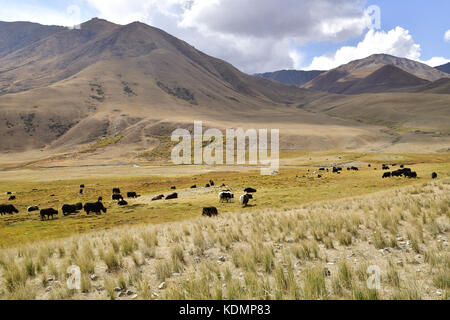 Region Issyk-Kul, Karakichi, See Sonkel, Kirgisistan Stockfoto