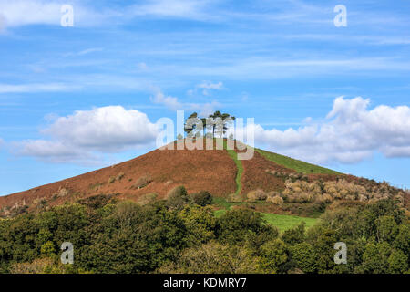 Census's Hill, Symondsbury, Dorset, England, Vereinigtes Königreich Stockfoto