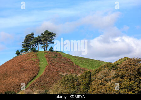 Census's Hill, Symondsbury, Dorset, England, Vereinigtes Königreich Stockfoto