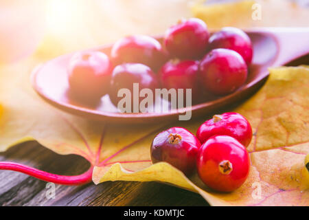Beeren Cranberries mit einer geringen Tiefenschärfe Stockfoto
