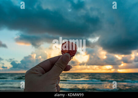 Weibliche Hand, die eine herzförmige rote Zebra patterened Seashell bis zu den bewölkten Himmel, als die Sonne über dem Ozean Stockfoto