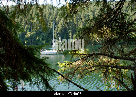 Wandern in der Nähe von witty Lagune - Vancouver Island, BC, Kanada Stockfoto