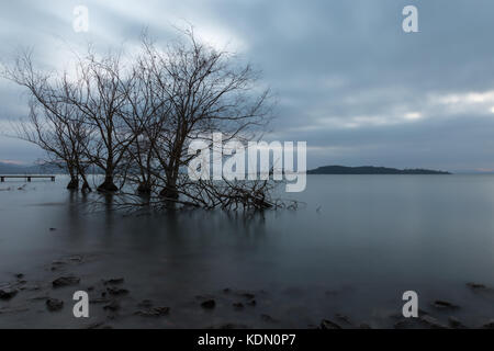 Lange Belichtung Blick auf einen See in der Abenddämmerung, mit perfekt noch Wasser, Skelett Bäume und ziehenden Wolken Stockfoto