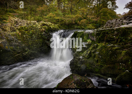 Skelwith Kraft, Wasserfall, auf dem Fluss Brathay, Lake District, Cumbria Stockfoto