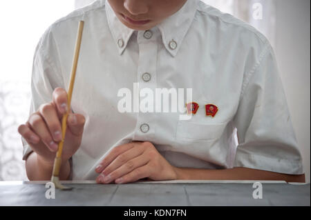 Des jeunes nord coréens s’initient à la broderie, la musique, la danse et à la calligraphie au palais des enfants de Pjöngyang le 13 octobre 2012. Auch Nicht Stockfoto