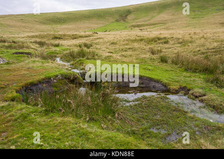 Kleiner Teich in der Nähe von Shelstone Tor, Dartmoor, Devon, England, Großbritannien. Stockfoto