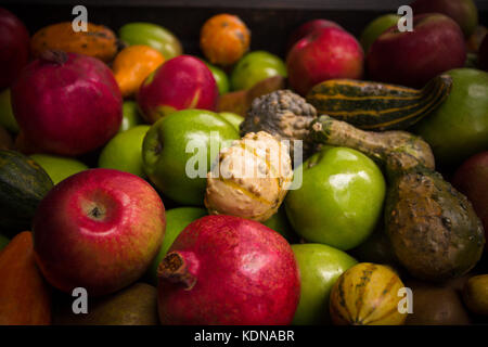 Herbst still-Leben von Obst und Kürbisse Stockfoto