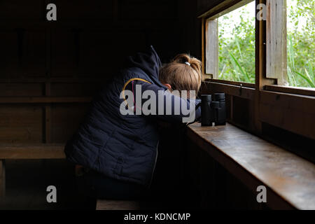 Juni 2015: Junger Bride Watcher, der sich in einem Wildbeobachtungsversteck ausruhen wird. Stockfoto