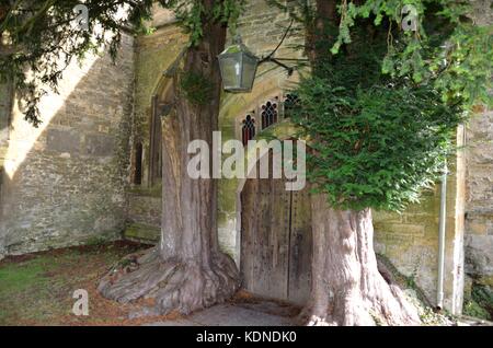 Nördlich von Eiben flankiert, die St. Edward Pfarrkirche, Stow-on-the-Wold, Cotswolds, Vereinigtes Königreich Stockfoto