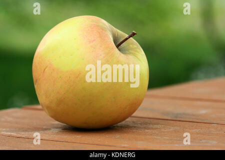 Gelber Apfel auf dem hölzernen Tisch im Garten Stockfoto