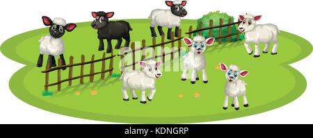 Weiße Schafe und schwarze Schafe auf dem Bauernhof Abbildung Stock Vektor