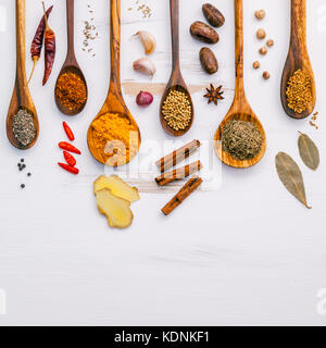 Verschiedene Kräuter und Gewürze in Holzlöffel. Flach von Gewürzen Zutaten Chili, Pfeffer, Knoblauch, trocknet Thymian, Zimt, Sternanis, Muskatnuss, Schalotte, b Stockfoto