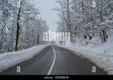 Tour auf der vereisten Straße, unter den schneebedeckten Bäumen, auf dem Hügel von Superga, in Piemont, Italien Stockfoto