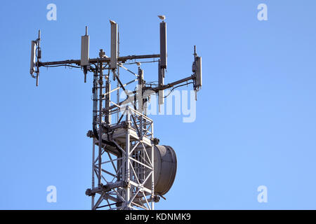 Retikuläre Bau zu Antennen für Smartphones und Handys unterstützen Stockfoto