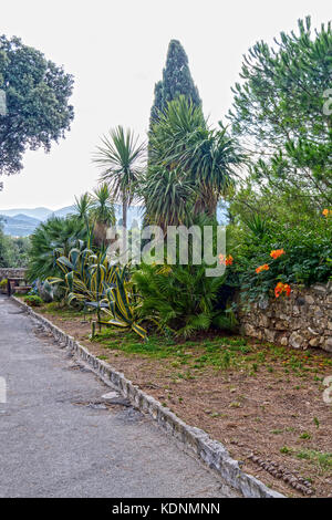 Holzbank von Zypressen und Vegetation von Bolgheri, Geburtsort des Dichters Carducci, Toskana, Italien umgeben Stockfoto