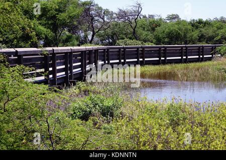 Keālia Coastal Promenade, Keālia Pond National Wildlife Refuge Stockfoto