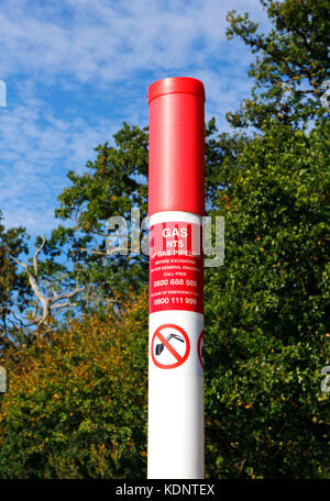 Eine Gaspipeline Marker post in der Landschaft von Norfolk auf ringland, Norfolk, England, Vereinigtes Königreich. Stockfoto