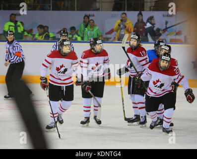 Hockey weibliche überein Stockfoto