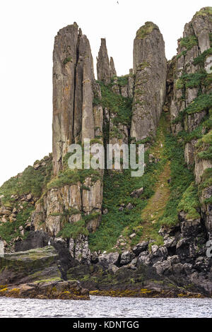 Basaltsäulen Felsformation in semidi Inseln, Alaska Stockfoto