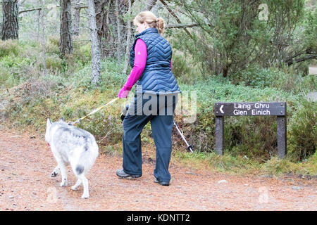 Einsame weibliche Wanderer mit Hund in Richtung Lairig Ghru Pass Trail vom Loch ein eilein auf der Rothiemurchus Estate und Wald Stockfoto