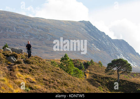 Einsamer Wanderer auf die Berge und Lairig Ghru Pass, der durch die Rothiemurchus Estate Pässe, Cairngorms National Park, Schottland Stockfoto