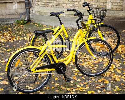 OFO Fahrräder im Zentrum von Cambridge Großbritannien geparkt. OFO ist eine China gegründete Firma expandiert in den Fahrradverleih in ausgewählten britischen Städte. Stockfoto