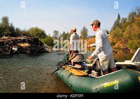Ein paar fliegen Fischer versuchen, eine schöne Steelhead Haken von der schönen Trinity River. Stockfoto