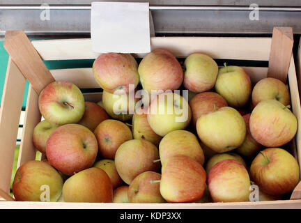 Frische organische Äpfel in Holzkiste am Markt veräußert werden. Stockfoto