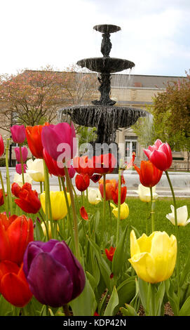 Soper Brunnen, Taunton, Massachusetts, USA, im Frühjahr Stockfoto