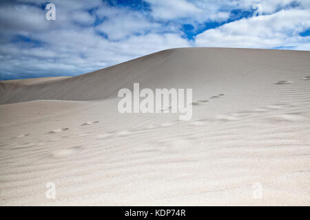 Blick auf die Wüste Sand Dünen am Kap Verde an einem sonnigen Tag Stockfoto