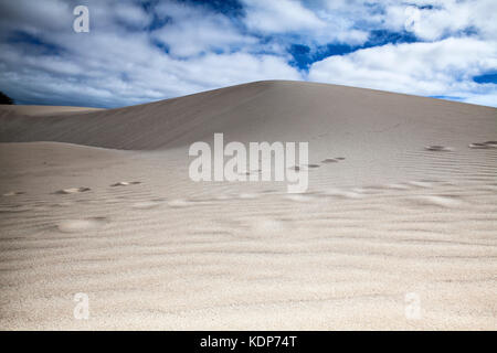 Blick auf die Wüste Sand Dünen am Kap Verde an einem sonnigen Tag Stockfoto