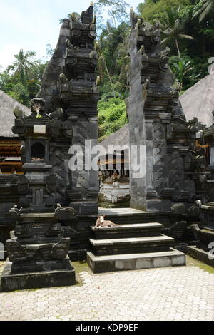 Einen ruhenden Hund in gunug Kawi tampaksiring, kabupaten Gianyar, Bali Stockfoto