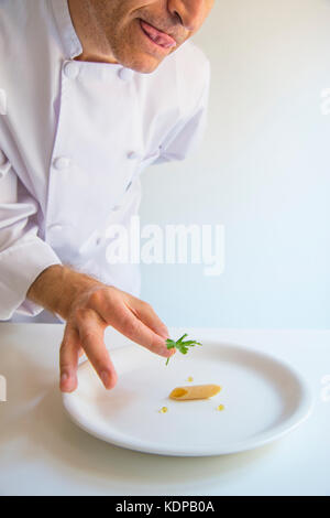 Nouvelle Cuisine: Minimalismus. Humorvolle. Koch, indem ein Blatt Petersilie oben auf einem einzigen Makkaroni. Stockfoto