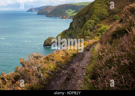 Coastal Path in der Nähe von martinhoe in Exmoor, England, Großbritannien Stockfoto