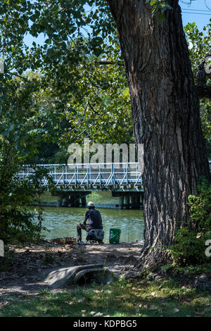 Lone Fischer am Ufer des White Rock Lake Dallas an einem Sommernachmittag Stockfoto