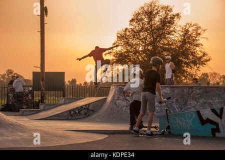 Skateboarder, BMX und Roller Fahrer bei einem städtischen Skatepark in London, da die Sonne untergeht Stockfoto