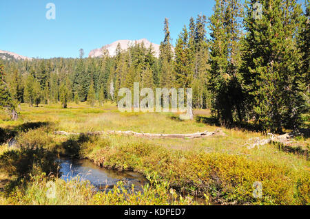 Mt. Lassen Volcanic National Park overs Besucher einige der landesweit schönsten, malerische Ausblicke! Kings Creek Stockfoto