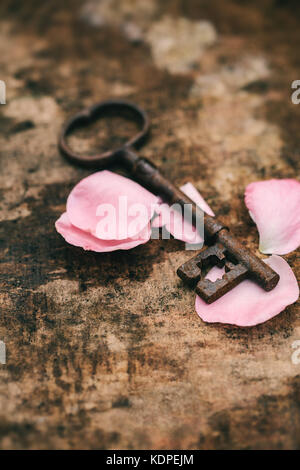 Ein altes messing Schlüssel auf einem Verwitterten Hintergrund mit rosa Rosenblättern Stockfoto