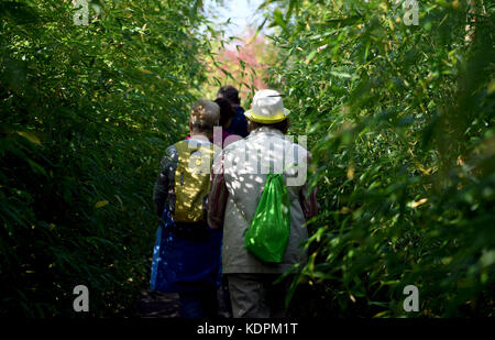 Berlin, Deutschland. Oktober 2017. Besucher gehen durch die Garteninstallation „Dule Yuan“ des chinesischen Landschaftsarchitekten Zhu Yufan auf dem Gelände der Internationalen Gartenausstellung IGA in Berlin, 15. Oktober 2017. Quelle: Britta Pedersen/dpa-Zentralbild/dpa/Alamy Live News Stockfoto