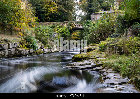 Teesdale, County Durham, UK. Sonntag, dem 15. Oktober 2017. UK Wetter. Einige schöne Herbstfarben in der Umgebung der Molkerei Brücke an Rokeby auf dem Fluss Greta in der Nähe von Barnard Castle wie die warmen herbstlichen Wetter in der Grafschaft Durham fort. Quelle: David Forster/Alamy leben Nachrichten Stockfoto