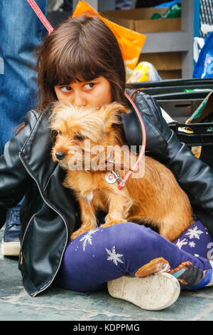 Glasgow, Schottland, Großbritannien. 15. Oktober, 2017. Der Sonntag Barra Kunst und Design (BAaD) Veranstaltungsort in Glasgow's berühmten barras Flohmarkt veranstaltet ihren ersten Hund Show mit 100 s der Hunde und ihrer liebevollen Besitzer drehen bis Glasgow's Liebe für Hündchen Groß und Klein zu feiern, ein Stammbaum oder einfach nur ein köter. Preise gingen an Wettbewerben einschließlich beste Rinde gegeben, beste Kostüme, beste geliebt und beste Rettungshund. OLIWIA AHMED 8 von Glasgow im Alter ist mit ihren 4 Monate alten CHORKIE (ein Kreuz zwischen einem Chihuahua und ein YORKIE), genannt Coco. Credit: Findlay/Alamy leben Nachrichten Stockfoto